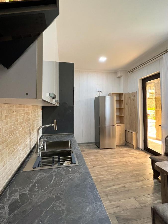 Royal Galaxy Apartment Kazbegi Bagian luar foto